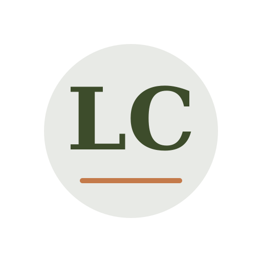 Leni Chimney Services logo